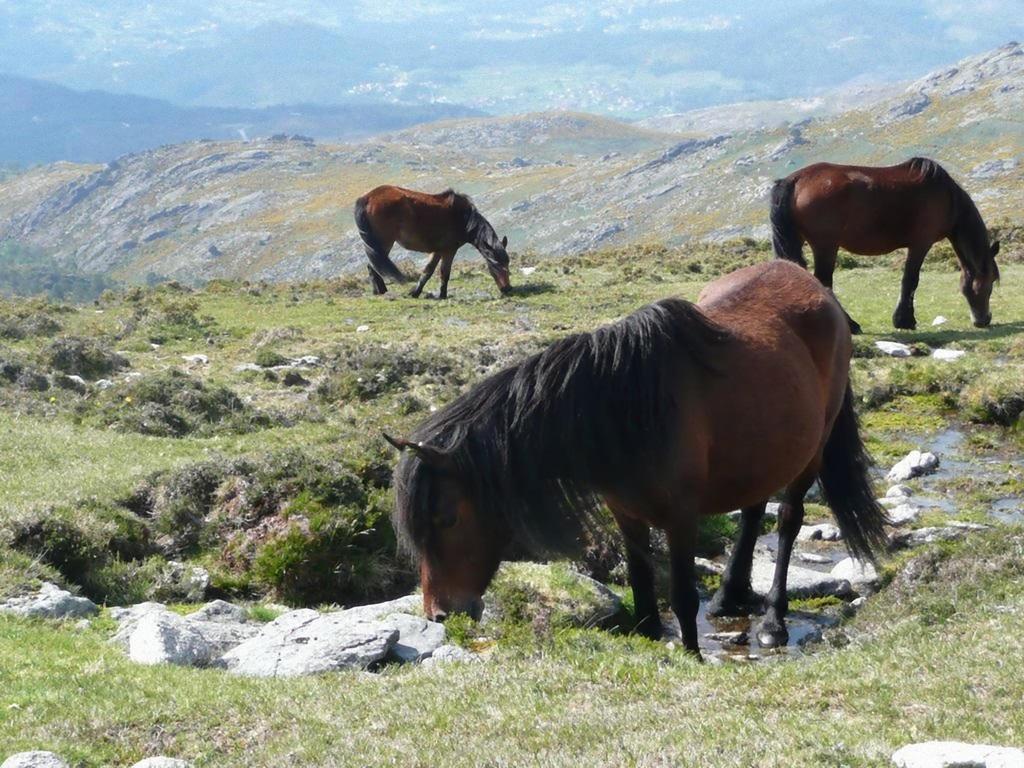Casa Do Avo Villa Sistelo Dış mekan fotoğraf
